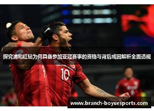 探究浦和红钻为何具备参加亚冠赛事的资格与背后成因解析全面透视