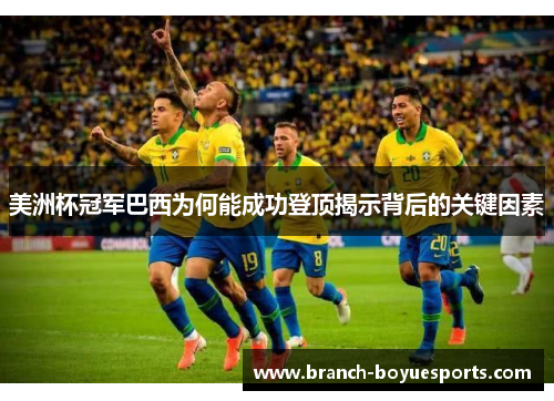 美洲杯冠军巴西为何能成功登顶揭示背后的关键因素