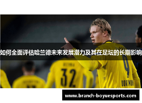 如何全面评估哈兰德未来发展潜力及其在足坛的长期影响