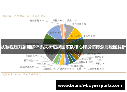 从赛程压力到训练体系失衡透视国家队核心球员伤停深层原因解析